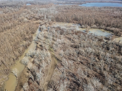 Southside Land Co. Shares and Camps - image 16
