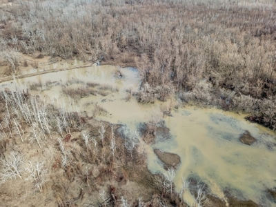 Southside Land Co. Shares and Camps - image 13