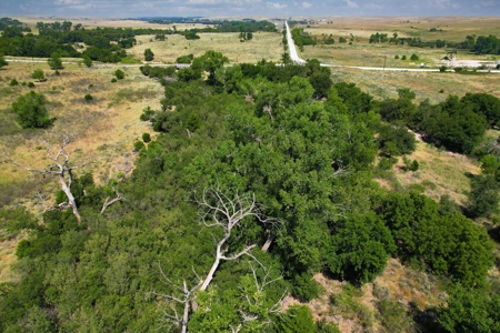 Rare 227-Acre Hunting Paradise Deer & Quail  Near Texas - image 2