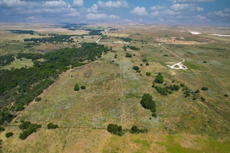 Rare 227-Acre Hunting Paradise Deer & Quail  Near Texas - image 6