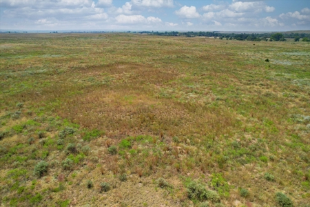 Rare 227-Acre Hunting Paradise Deer & Quail  Near Texas - image 23