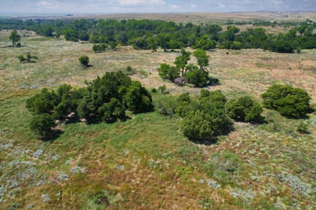 Rare 227-Acre Hunting Paradise Deer & Quail  Near Texas - image 9