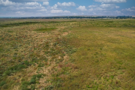 Rare 227-Acre Hunting Paradise Deer & Quail  Near Texas - image 16