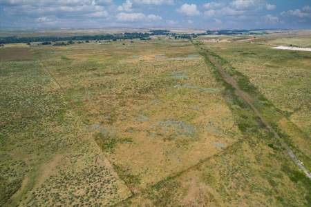 Rare 227-Acre Hunting Paradise Deer & Quail  Near Texas - image 18