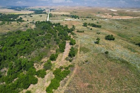 Rare 227-Acre Hunting Paradise Deer & Quail  Near Texas - image 4
