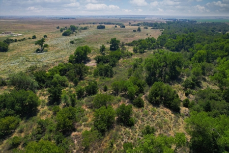 Rare 227-Acre Hunting Paradise Deer & Quail  Near Texas - image 3