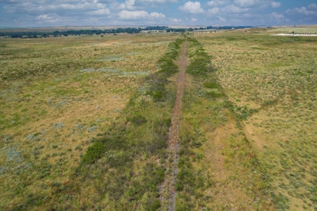 Rare 227-Acre Hunting Paradise Deer & Quail  Near Texas - image 17