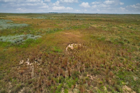 Rare 227-Acre Hunting Paradise Deer & Quail  Near Texas - image 22