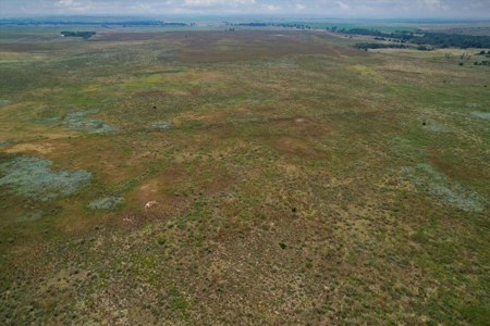 Rare 227-Acre Hunting Paradise Deer & Quail  Near Texas - image 21