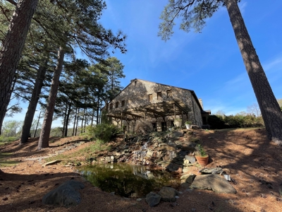 Historic Building & Business For Sale, Mt Croghan, SC - image 12