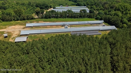 Forest MS Turnkey 2-House Breeder Poultry Farm and 13 Acres - image 11
