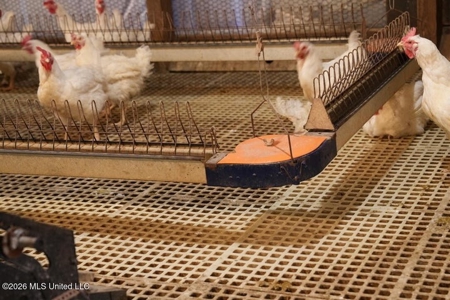 Forest MS Turnkey 2-House Breeder Poultry Farm and 13 Acres - image 19