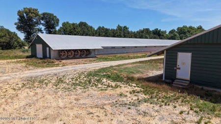 Forest MS Turnkey 2-House Breeder Poultry Farm and 13 Acres - image 5