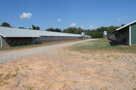 Newer 2 House Poultry Breeder Farm w/ Solar Panels - image 6