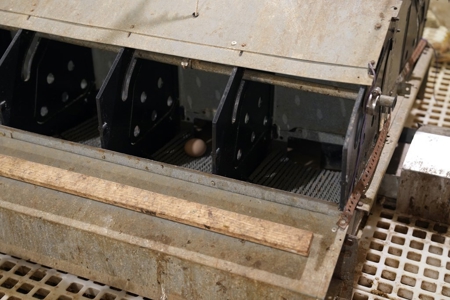 Newer 2 House Poultry Breeder Farm w/ Solar Panels - image 14