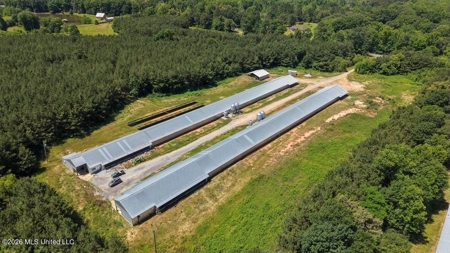 Forest MS Turnkey 2-House Breeder Poultry Farm and 13 Acres - image 9