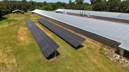 Forest MS Turnkey 2-House Breeder Poultry Farm and 13 Acres - image 7