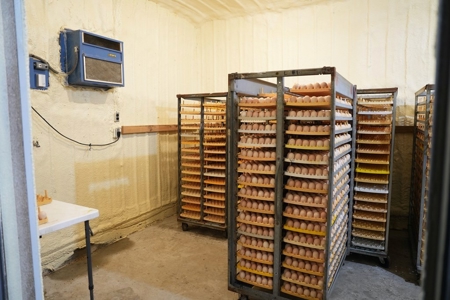 Newer 2 House Poultry Breeder Farm w/ Solar Panels - image 23