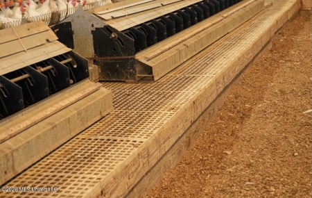 Forest MS Turnkey 2-House Breeder Poultry Farm and 13 Acres - image 20