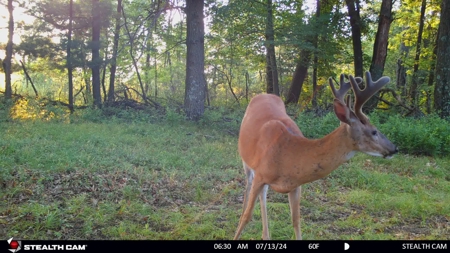 Coveted Hunting and Waterfront Property for Sale in South Ce - image 3