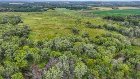 Coveted Hunting and Waterfront Property for Sale in South Ce - image 29