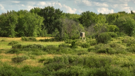 Coveted Hunting and Waterfront Property for Sale in South Ce - image 11