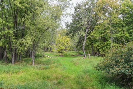 Coveted Hunting and Waterfront Property for Sale in South Ce - image 32