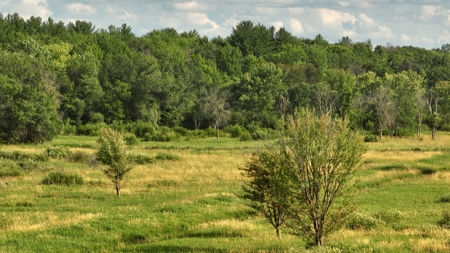 Coveted Hunting and Waterfront Property for Sale in South Ce - image 33