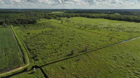 Coveted Hunting and Waterfront Property for Sale in South Ce - image 35