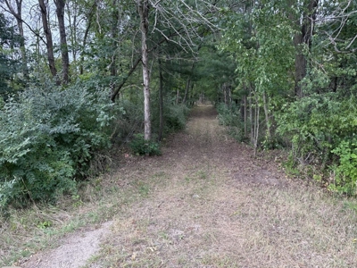 Coveted Hunting and Waterfront Property for Sale in South Ce - image 37