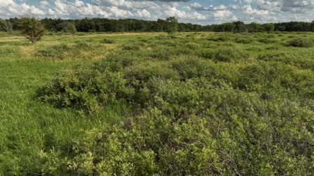 Coveted Hunting and Waterfront Property for Sale in South Ce - image 22