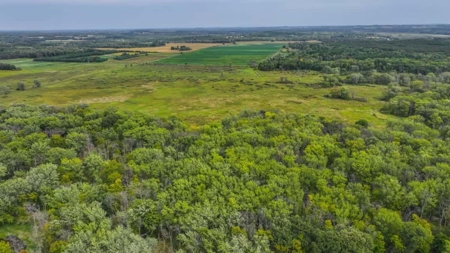 Coveted Hunting and Waterfront Property for Sale in South Ce - image 28