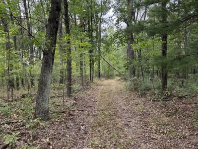 Coveted Hunting and Waterfront Property for Sale in South Ce - image 12