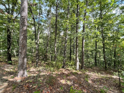 Unique Property In Eminence Missouri- Solar, Self Sufficient - image 32
