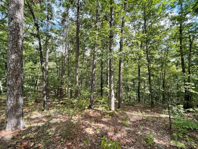 Unique Property In Eminence Missouri- Solar, Self Sufficient - image 31