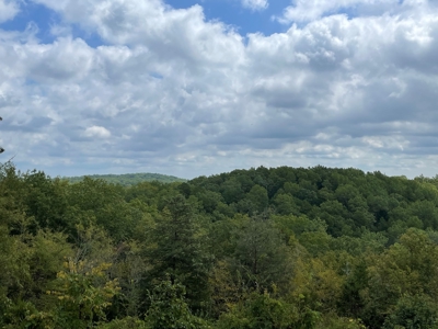 Unique Property In Eminence Missouri- Solar, Self Sufficient - image 20