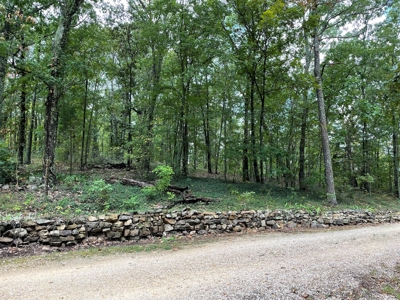 Unique Property In Eminence Missouri- Solar, Self Sufficient - image 30