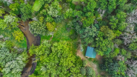 Cabin with River Frontage for Sale in Marquette County, WI - image 24
