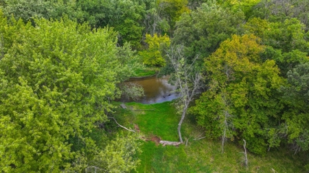 Cabin with River Frontage for Sale in Marquette County, WI - image 39