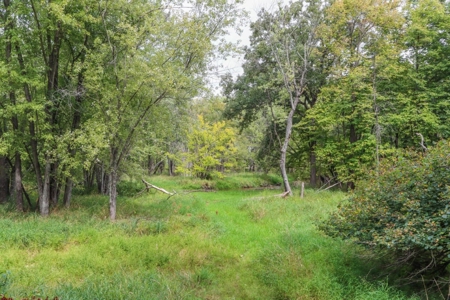 Cabin with River Frontage for Sale in Marquette County, WI - image 42