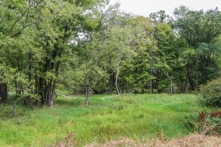 Cabin with River Frontage for Sale in Marquette County, WI - image 41
