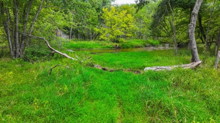 Cabin with River Frontage for Sale in Marquette County, WI - image 40