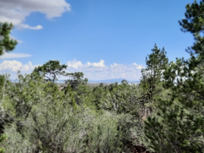 Beautiful Property - image 1