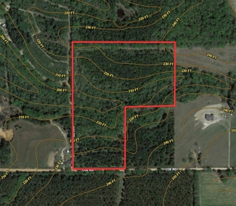 25 Acres of Land in Hartford Alabama - image 20