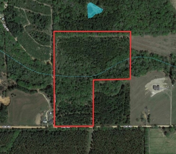 25 Acres of Land in Hartford Alabama - image 18