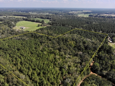 25 Acres of Land in Hartford Alabama - image 21