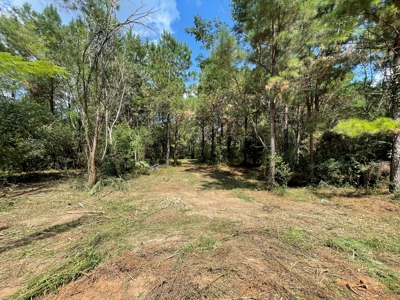 25 Acres of Land in Hartford Alabama - image 7