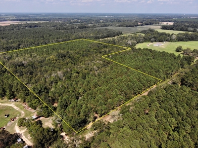 25 Acres of Land in Hartford Alabama - image 24