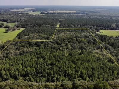 25 Acres of Land in Hartford Alabama - image 22