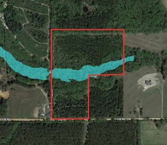 25 Acres of Land in Hartford Alabama - image 19
